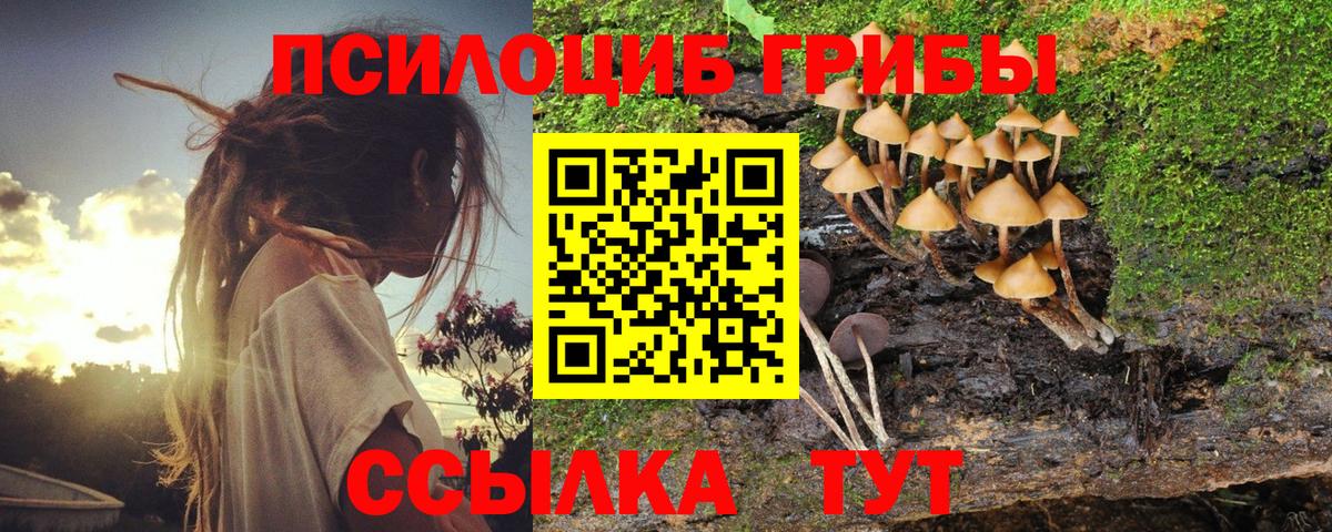 Балашиха  Галлюциногенные грибы мицелий  Вход с VPN  Псилоцибиновые грибы Psilocybe 