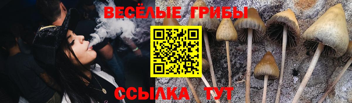 Галлюциногенные грибы Magic Shrooms Балашиха